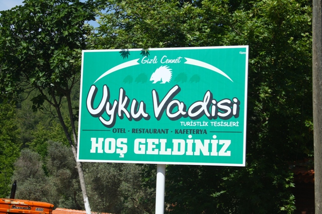 Uyku Vadisi